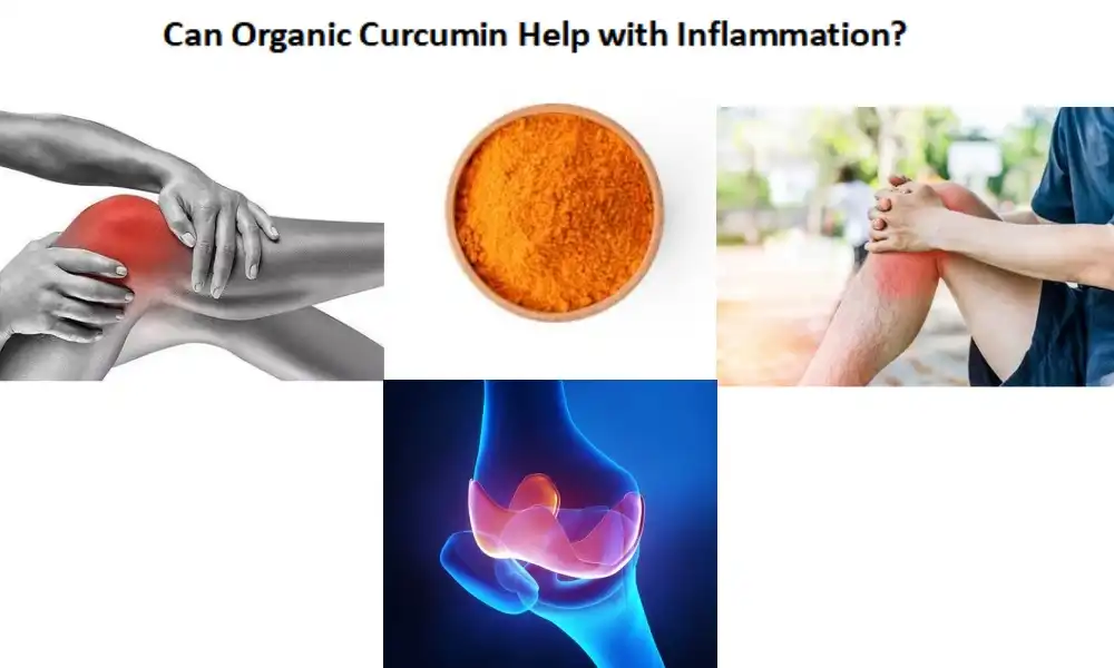 Can Organic Curcumin Help with Inflammation?